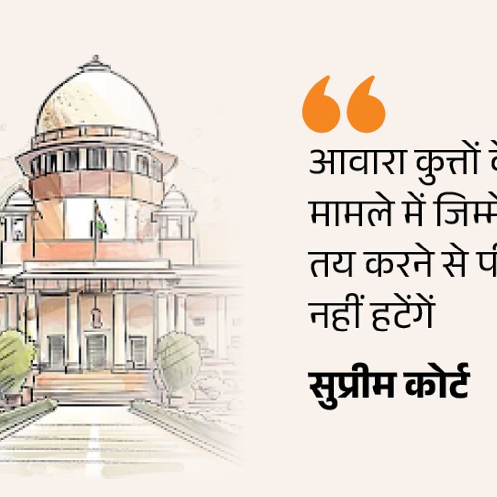 आवारा कुत्तों पर सुप्रीम कोर्ट बोला हमारी टिप्पणियां मजाक नहीं:मौत मामले में डॉग फीडर्स भी जिम्मेदार; हर जगह स्थानीय प्रशासन फेल