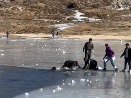 अरुणाचल में जमी हुई झील में फिसलकर दो युवक डूबे:शव मिले, दोनों केरल के थे; लेक के ऊपर बर्फ की परत टूटने से हादसा