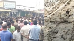 janjgir champa murder: खेत में युवती की अर्धनग्न लाश, प्रेमी ने सेक्स कर उतारा मौत के घाट