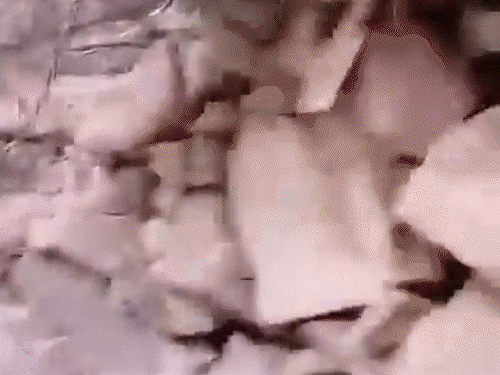 किश्तवाड़ में आतंकवादियों की तलाश तीसरे दिन भी जारी:आतंकी ठिकाना मिला, राशन ताजी सब्जियां, अधपके अंडे मिले; सुरक्षाबलों का दावा सामान स्थानीय लोगों ने पहुंचाया