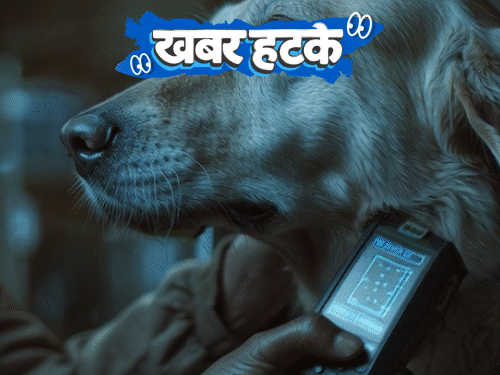 खबर हटके आवारा कुत्तों पर माइक्रोचिप लगाएगी सरकार:घोड़ों को आग में दौड़ाने की परंपरा; कर्तव्य पथ की परेड में दिखेंगे मंगोलियन ऊंट