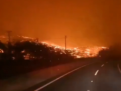 चिली के जंगल में आग से 19 लोगों की मौत:50 हजार बेघर; लोग बोले 20 मिनट और रुकते तो जिंदा जल जाते; photos