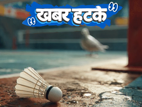 खबर हटके 22 साल का लड़का चांद पर होटल बनाएगा:कबूतर की पॉटी से रुका मैच; कुत्ते की पूजा के लिए उमड़ी 50 हजार की भीड़