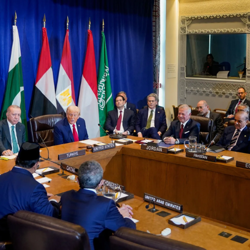 गाजा ‘बोर्ड ऑफ पीस' में 8 इस्लामिक देश शामिल होंगे:इनमें पाकिस्तान, कतर और तुर्किये भी; विदेश मंत्रियों ने संयुक्त बयान जारी किया