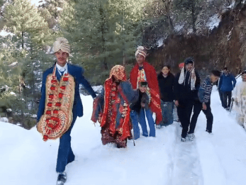 दूल्हा 4 फीट बर्फ में चलकर दुल्हन लाया:मंडी में बारात चलने से पहले हुई बर्फबारी, 4 घंटे में 7 किमी रास्ता तय किया