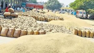 cg dhan kharidi: धान नहीं बिका तो आत्महत्या करूंगा – 75 वर्षीय किसान का दर्दनाक बयान