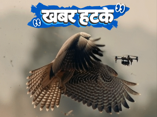 खबर हटके शिकारी पक्षी कर रहे दिल्ली की सुरक्षा:बांग्लादेशियों की पहचान करेगा एप; 2 पत्नियों के बीच पति का बंटवारा