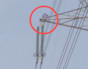 janjgir champa farmer video: धान टोकन नहीं कटने से टावर पर चढ़कर किसान ने किया विरोध, video वायरल