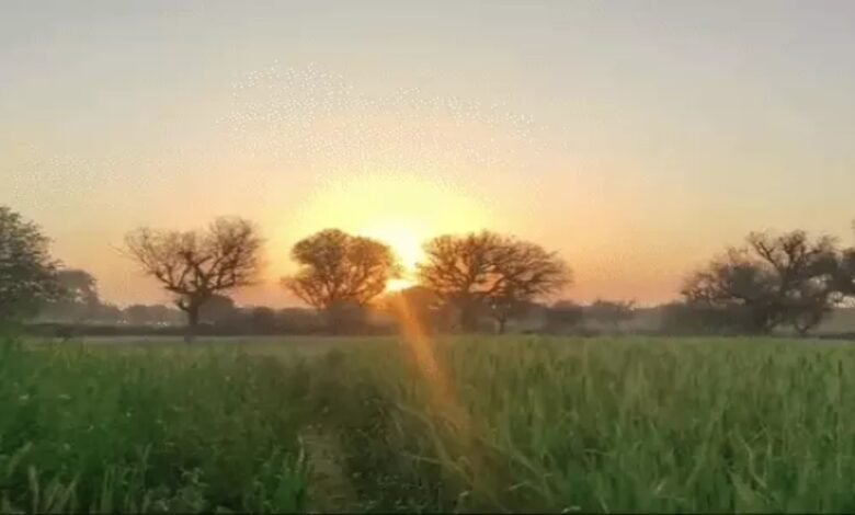 उत्तर मध्य छत्तीसगढ़ में अगले 48 घंटों में बढ़ेगी ठंड, वेस्टर्न डिस्टर्बेंस का असर