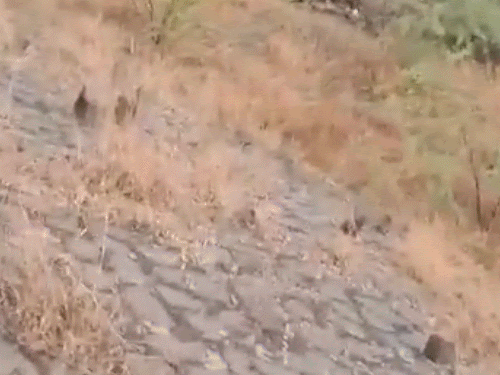 महाराष्ट्र में अजीत पवार का प्लेन क्रैश:विमान पूरी तरह जला, डिप्टी cm गंभीर रूप से घायल; बारामती में लैंडिंग के दौरान हादसा