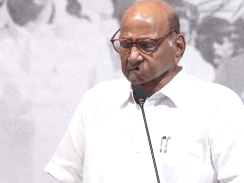 ncp के दोनों गुटों के विलय पर अब भी सस्पेंस:शरद पवार मुंबई पहुंचे, सुनेत्रा पवार डिप्टी cm की शपथ लेकर बारामती लौटीं