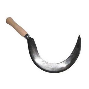 korba murder: बेटी ने हंसिये से पिता का गला काटा, बोली मार डाला है, जाकर देख लो