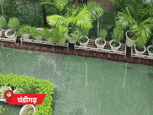 राजस्थान में ओले गिरे, मध्यप्रदेश में बारिश:हरियाणा में बारिश से 7 डिग्री तापमान गिरा; उत्तराखंड में बर्फबारी