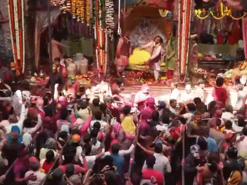 बांके बिहारी को लगा रंग, नाचते हुए पहुंचे भक्त:वृंदावन में विदेशियों ने भी खेली होली, कहा मजा आ गया