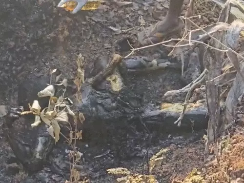 jashpur murder: पत्नी ने पति की कुल्हाड़ी से की हत्या, पेट्रोल डालकर जलाई लाश; बेटियों के सामने दिया वारदात को अंजाम