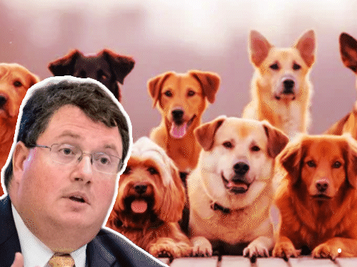 अमेरिकी सांसद बोले कुत्तों मुसलमानों में से एक को चुनना आसान:फिलिस्तीनी एक्टिविस्ट ने लिखा था न्यूयॉर्क इस्लाम की ओर बढ़ रहा, कुत्ते घर में नहीं रखें