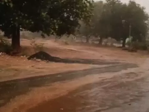 cg weather update: छत्तीसगढ़ में फिर बढ़ेगी ठंड, 3 डिग्री तक गिरेगा रात का पारा, दुर्ग सबसे ठंडा