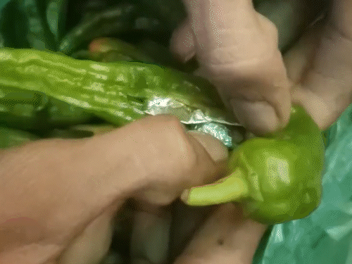 मथानिया मिर्च में md ड्रग्स और स्मैक की तस्करी:जोधपुर से हैदराबाद जा रही प्राइवेट बस में भेजा पार्सल, सिल्वर फाॅयल में पुड़िया बनाकर पैक किया