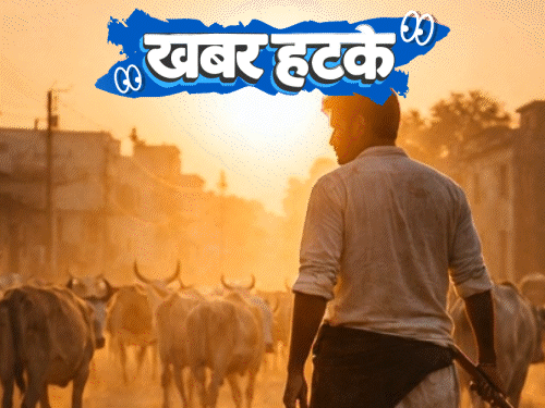 खबर हटके गाय चराने के लिए सरकार दे रही नौकरी:ब्रिटेन में गायब होने लगीं चॉकलेट; बिना बच्चेदानी वाली महिला ने बेटे को जन्म दिया
