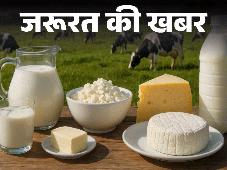 जरूरत की खबर डेयरी प्रोडक्ट सेहत के लिए कितना फायदेमंद:जानें इनकी न्यूट्रिशनल वैल्यू, फायदे नुकसान, किन्हें नहीं खाना चाहिए