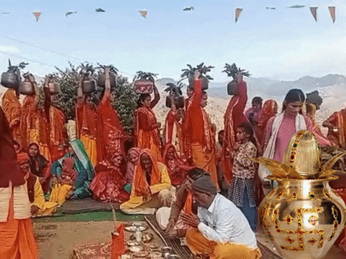 उत्तराखंड में पीपल बना दूल्हा, वट बनी दुल्हन:मंत्रोच्चार के साथ वैदिक रीति रिवाजों से हुई अनोखी शादी; ढोल दमाऊं की थाप पर नाचे बाराती