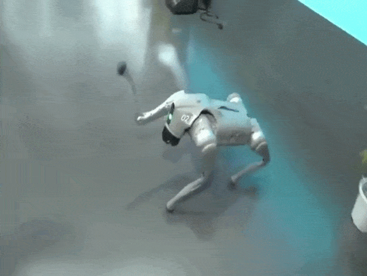 सरकार ने गलगोटिया यूनिवर्सिटी को ai समिट से बाहर किया:चीनी रोबोटिक डॉग को अपना बताया था; विवाद के बाद कहा हमने नहीं बनाया