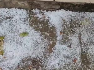 cg weather update: बंगाल में बने सिस्टम का प्रभाव, रायपुर समेत कई जिलों में बारिश; बलरामपुर में गिरे ओले, देखें वीडियो 