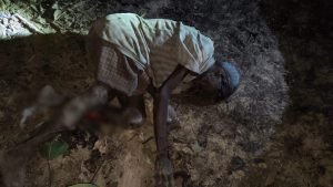 raigarh elephant attack: लकड़ी लेने गए बुजुर्ग को हाथी ने कुचला