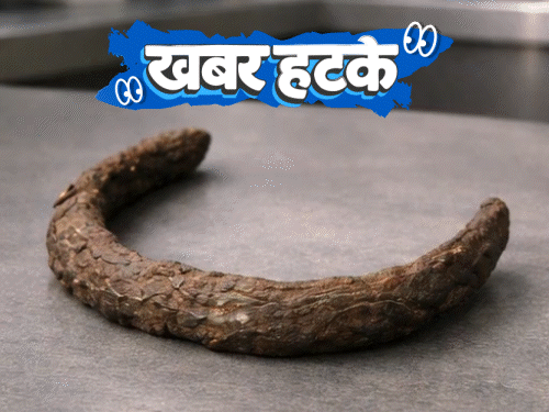 खबर हटके आसमान से गिरा लोहा, सोने से महंगा:₹1 लाख के लिए ढाई साल के बेटे को बेचा; महाराष्ट्र का यह गांव जाति मुक्त