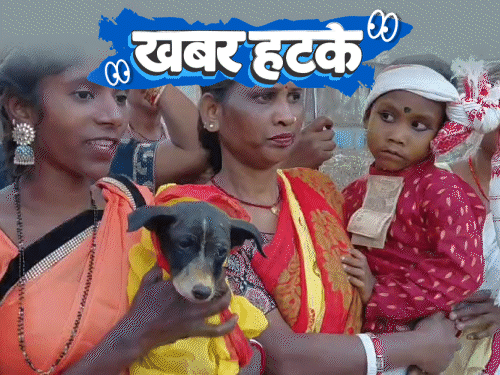 खबर हटके दो बच्चों की कुत्तों से शादी हुई:30 सेकेंड में सबसे ज्यादा किस करने का रिकॉर्ड; मृत्यु के बाद क्या, डॉक्टर ने खुलासा किया