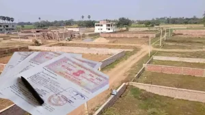 cg land guideline rate: इन जिलों में आज से लागू हुई जमीन की नई गाइडलाइन दरें, देखें पूरी जानकारी