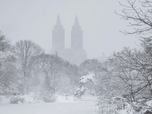 अमेरिका में बर्फीले तूफान से 11 हजार फ्लाइट रद्द:5 लाख घरों की बिजली गुल, अखबार 153 साल में पहली बार प्रिंट नहीं छाप सका