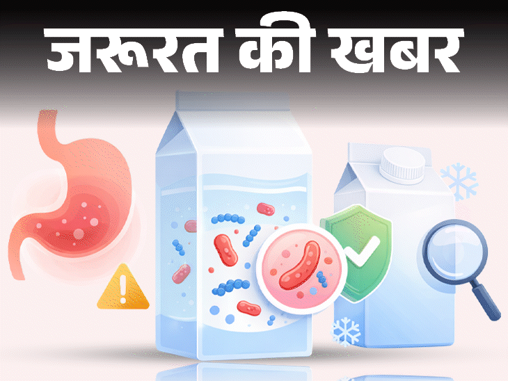 जरूरत की खबर पैकेज्ड दूध में कोलिफॉर्म बैक्टीरिया:जानें इसके हेल्थ रिस्क, दूध को कैसे रखें सेफ, खरीदते हुए क्या सावधानी बरतें
