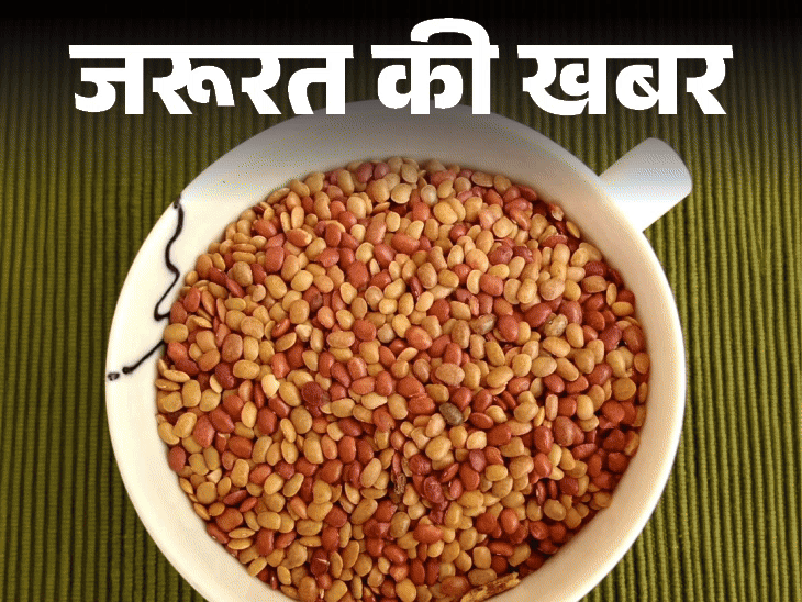 जरूरत की खबर सेहत का खजाना कुलथी दाल:प्रोटीन का बेस्ट सोर्स, कब्ज में फायदेमंद, जानें इसकी न्यूट्रिशनल वैल्यू, हेल्थ बेनिफिट्स