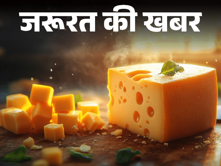 जरूरत की खबर क्या चीज सेहत के लिए फायदेमंद है:डाइटीशियन से जानें इसकी न्यूट्रिशनल वैल्यू, हेल्थ बेनिफिट्स, किसे नहीं खाना चाहिए