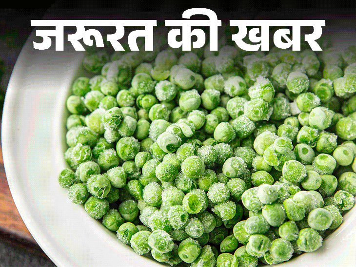 जरूरत की खबर क्या फ्रोजन मटर खाना अच्छा है?:न्यूट्रिशनिस्ट से जानें यूज करने का सही तरीका, खरीदते हुए बरतें ये 6 सावधानियां