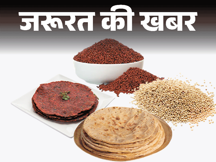 जरूरत की खबर गेंहू से ज्यादा हेल्दी ज्वार रागी:ग्लूटेन फ्री है, जानें न्यूट्रिशनल वैल्यू्, हेल्थ बेनिफिट्स, किन्हें नहीं खाना चाहिए