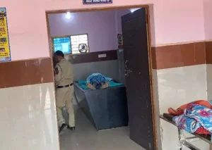 balod bee attack: महुआ बीनने गए दंपति पर मधुमक्खियों का हमला, पति की मौत, पत्नी गंभीर