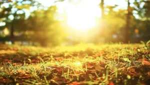 cg weather update: छत्तीसगढ़ में बढ़ा गर्मी का असर, दुर्ग और राजनांदगांव में पारा 39°c, अगले 3 दिन राहत नहीं