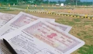 cg breaking: छुट्टी के दिन भी खुलेंगे पंजीयन कार्यालय, आदेश जारी