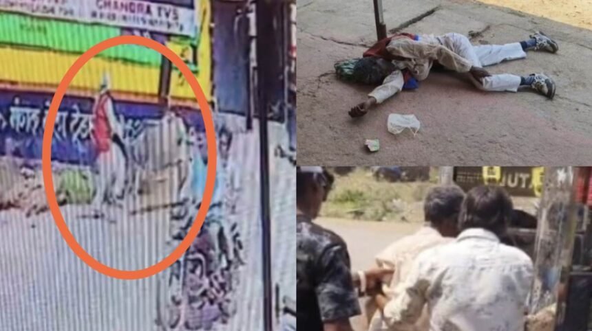 bilaspur video: बैल का तांडव, अधेड़ को हवा में उछालकर पटका; देखें वीडियो