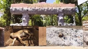 ambikapur deer death: आवारा कुत्तों के हमले में 15 हिरणों की मौत, डिप्टी रेंजर समेत 4 निलंबित