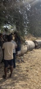 mahasamund suicide: तालाब किनारे पेड़ से लटकी मिली प्रेमी जोड़े की लाश, 3 दिन पहले घर से हुए थे फरार