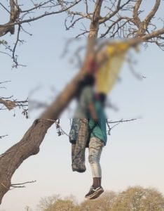 mahasamund suicide: लगातर दूसरे दिन प्रेमी जोड़े ने लगाई फांसी, फंदे पर लटके मिले शव