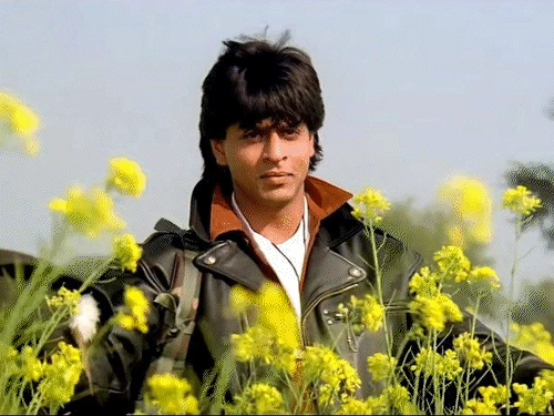 शाहरुख खान फिर करेंगे रोमांस, विंटेज लुक में नई फिल्म:किंग के बाद रोमांटिक अंदाज में वापसी, क्लासिक कहानी को मॉडर्न टच के साथ पेश करेंगे