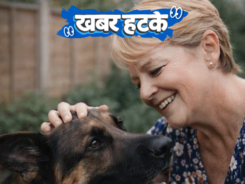 खबर हटके कुत्ते ने सूंघकर कैंसर का पता लगाया:कोमा से लौटे शख्स ने बताया नर्क का हाल; प्लेन के बाथरूम में 5km दौड़ा एथलीट