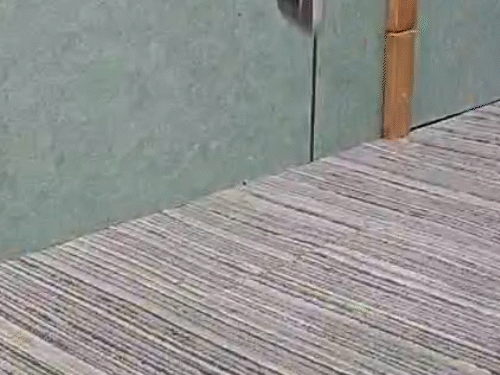 रेडमी नोट 15 प्रो रिव्यू:₹27,000 में 200mp कैमरा और ip69k रेटिंग वाली सॉलिड बॉडी, 6500mah बैटरी के साथ रिवर्स चार्जिंग