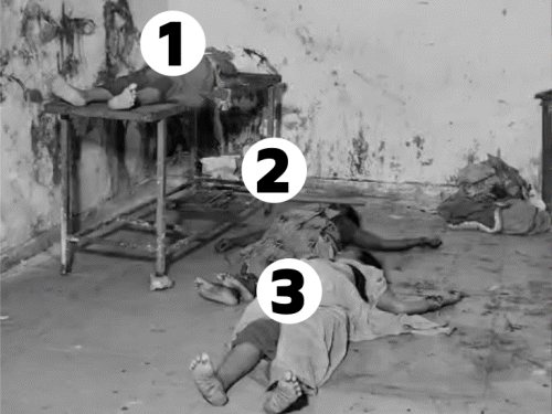 बिहार नालंदा के शीतलाष्टमी मंदिर में भगदड़, 8 की मौत:6 से ज्यादा घायल; चैत्र के आखिरी मंगलवार को श्रद्धालुओं की भीड़ उमड़ी थी