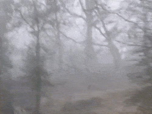 देशभर में मार्च की शुरुआत में तेज गर्मी:mp छत्तीसगढ़ और राजस्थान के कई शहरों में पारा 40°c के करीब; पहाड़ों में बारिश बर्फबारी के आसार