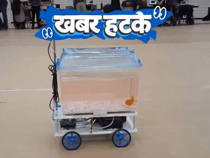 खबर हटके मछली ने गाड़ी चलाकर बनाया वर्ल्ड रिकॉर्ड:₹15 लाख दहेज के लिए फर्जी ias बना शख्स; चूहों को बर्फ में जमाकर फिर जिंदा किया